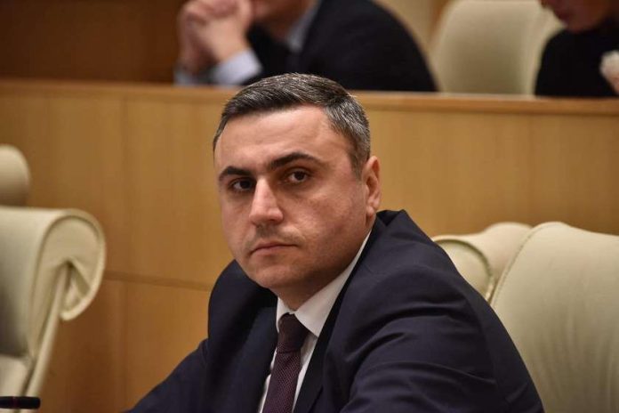 davit-matikashvili-parl-skhd