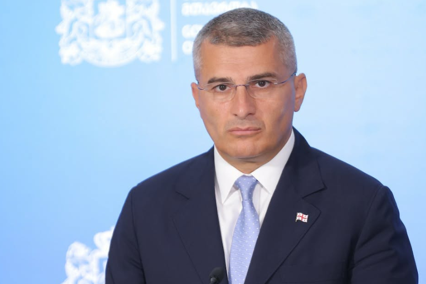 მდინარაძე ნაცმოძრაობას დანაშაულებრივ ორგანიზაციად მოიხსენიებს