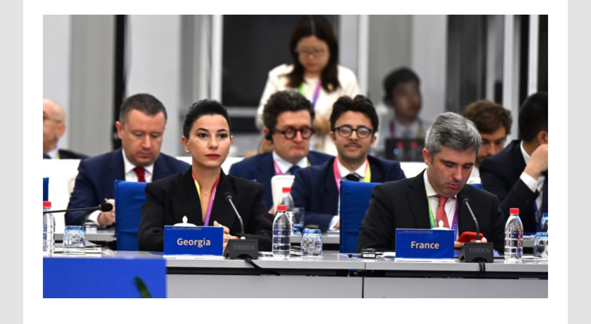 ქვრივიშვილი ციფრულ ტრანსფორმაციას მოქალაქეთა შესაძლებლობების წყაროდ ხედავს