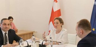 პარლამენტში სახელმწიფო ენის დაცვისა და განვითარების ხელშეწყობის სამუშაო ჯგუფის შეხვედრა გაიმართა