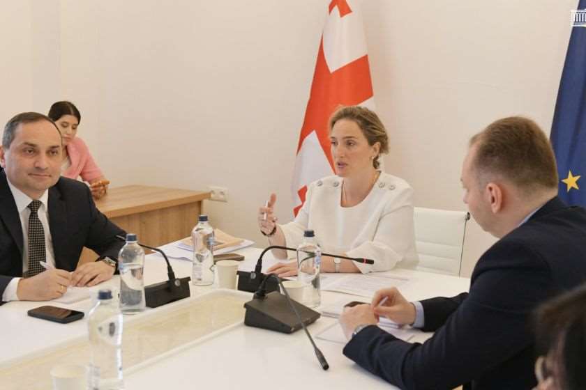 პარლამენტის სამუშაო ჯგუფმა სახელმწიფო ენის კანონზე იმსჯელა