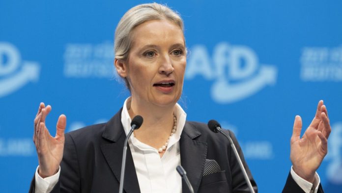 1787544545-alice-weidel-128-e1787544567541