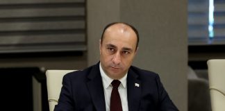 გეკა გელაძე შინაგან საქმეთა მინისტრის მოადგილის პოსტს დაიკავებს