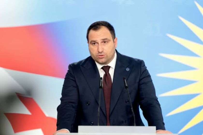 ირაკლი კირცხალია: „ამ კვირაში საკონსტიტუციო სასამართლოს წარედგინება საკონსტიტუციო სარჩელი. იცით, რა