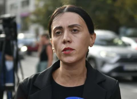 ანა წითლიძე ამბობს, რომ აქციები ახლა იწყება