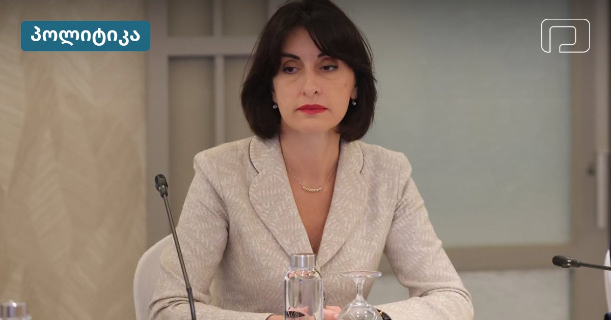 ბოჭორიშვილი ამბობს, ევროკავშირში საქართველოზე ერთიანი პოზიცია არ არის