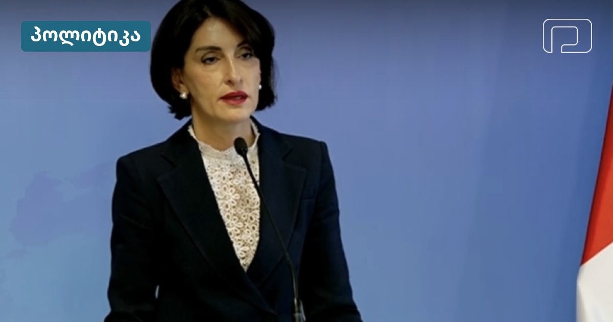 ბოჭორიშვილი ამბობს, რომ ანგარიშების შეფასების უფლება საქართველოსაც აქვს
